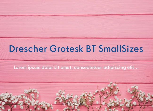 Drescher Grotesk BT SmallSizes example